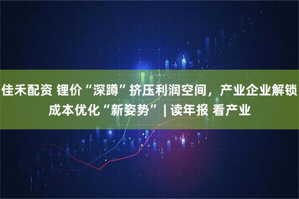 佳禾配资 锂价“深蹲”挤压利润空间，产业企业解锁成本优化“新姿势” | 读年报 看产业