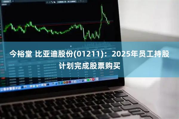 今裕堂 比亚迪股份(01211)：2025年员工持股计划完成股票购买
