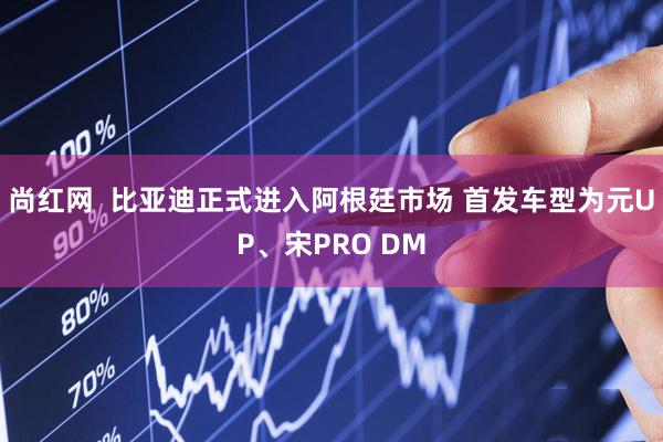 尚红网  比亚迪正式进入阿根廷市场 首发车型为元UP、宋PRO DM